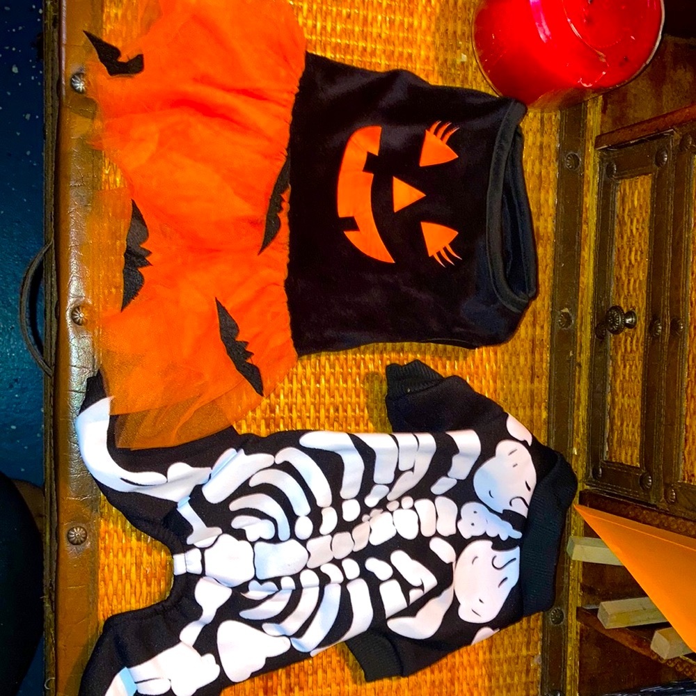 Pet Halloween Costumes Nwot
